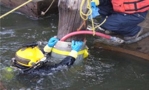 Diving-4-1