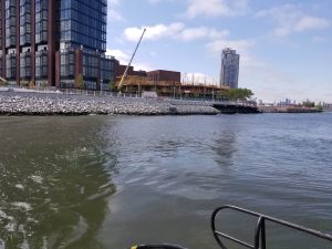 Greenpoint1